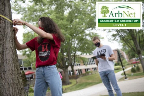 Two W&J students measuring a tree on campus