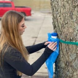 Bri Hoffman '23 taps a maple tree