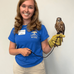 Rising senior Holly Troesch stands in blue, Pittsburgh Zoo & PPG Aquarium shirt and holds a small owl.