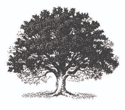 Logo 1 - Black Oak
