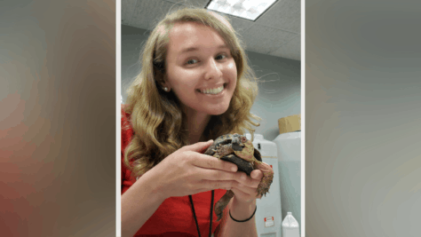 Holly Troesch holds a turtle behind the scenes of her Carnegie Science Center internship.