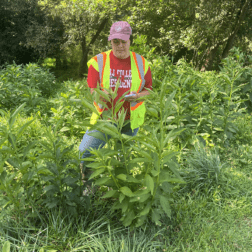 W&J junior Renee Novak stands in reflective gear in wetlands.