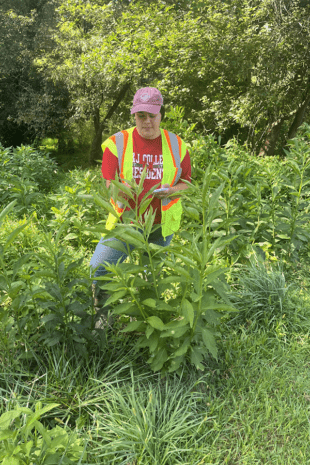 W&J junior Renee Novak stands in reflective gear in wetlands.