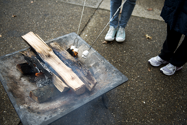 roasting s'mores