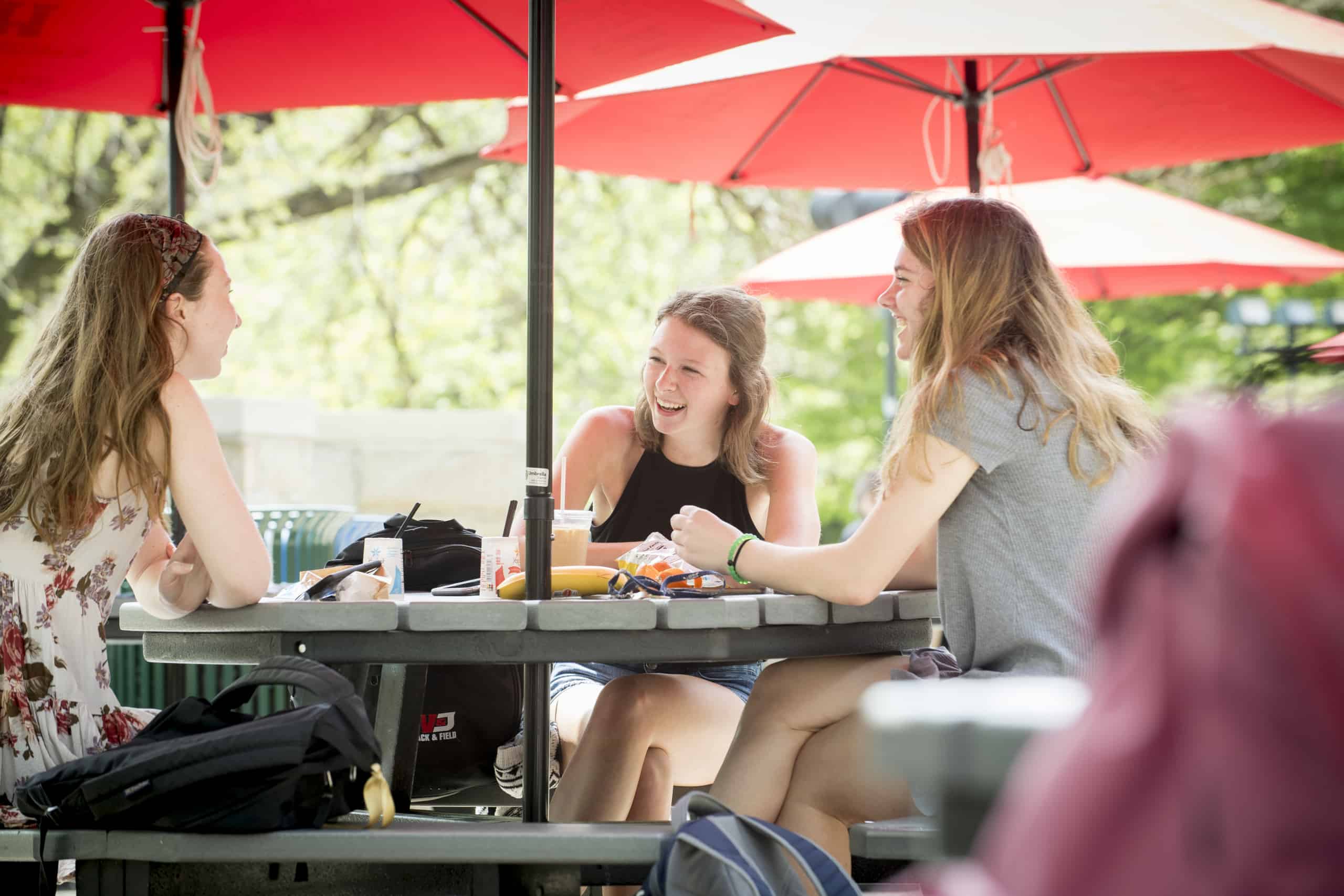 Students studying photo