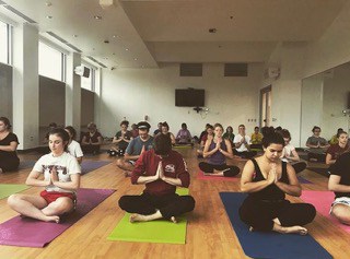 lucy yoga A group of students in a yoga class